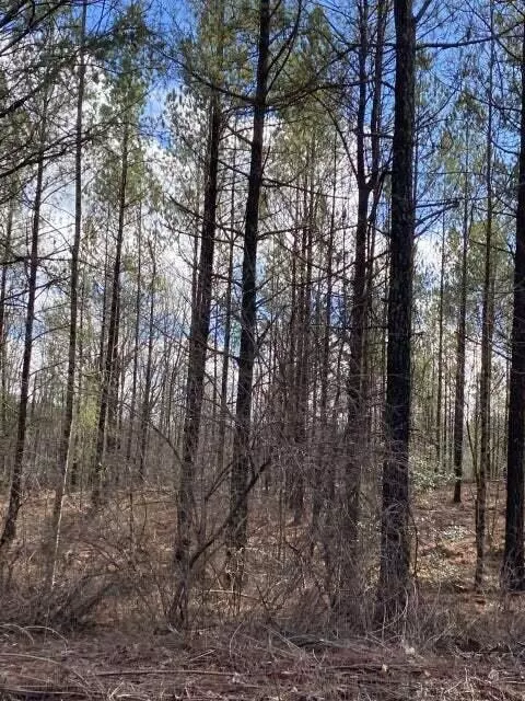 lot14 Thomas Springs Rd, Crossville, TN 38572