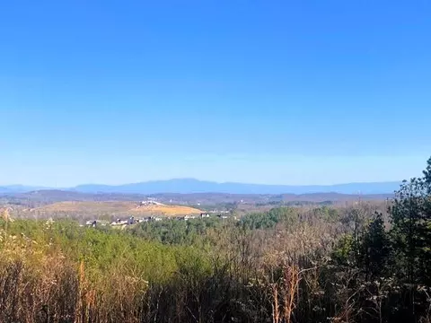 Tract 4 SW Owl Hollow Road, Mc Donald, TN 37353