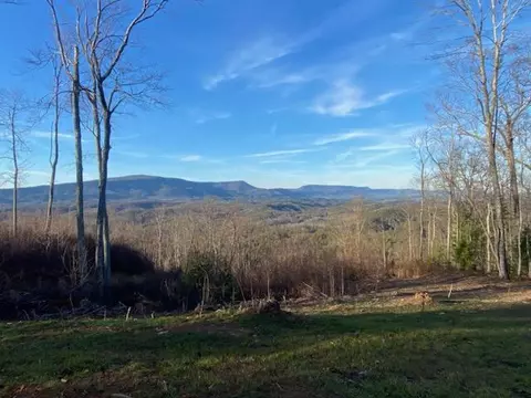 lot1 A Chestnut Mountain Rd, Reliance, TN 37369