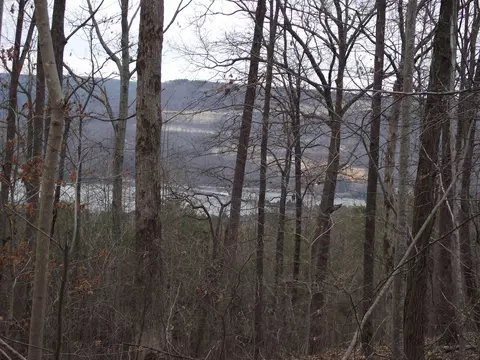 0 Browbend Dr #6, Guild, TN 37340 photo 13