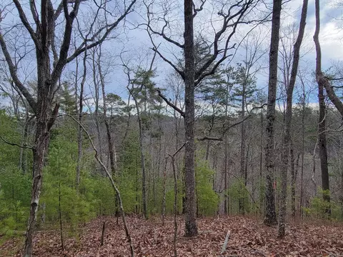 968 Raccoon Ridge Rd, Ranger, GA 30734