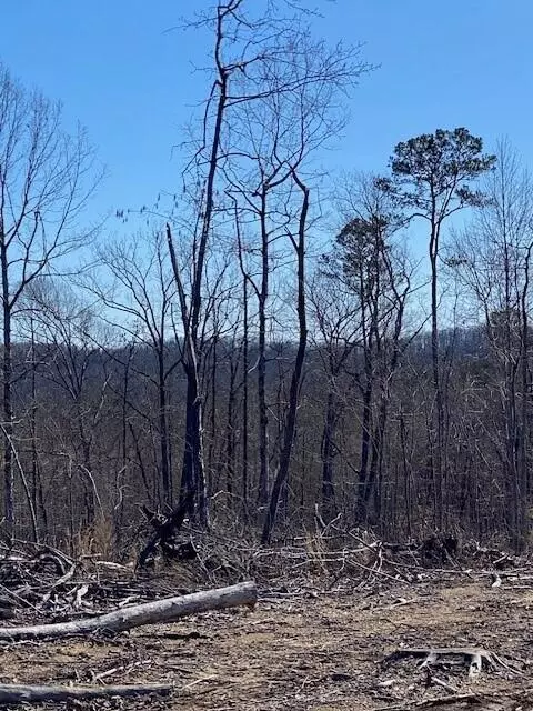 Tract 17 River Road #TRACT 17, Decatur, TN 37322