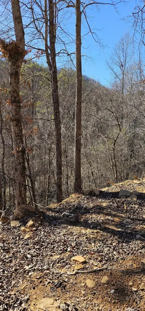 1520 2nd St, South Pittsburg, TN 37380