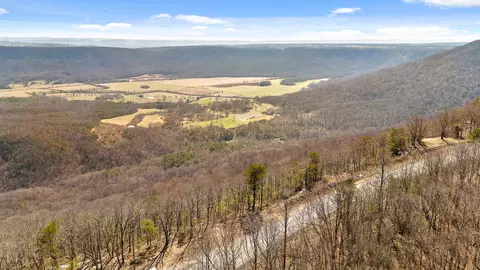 24 Acres Highway 157, Menlo, GA 30731