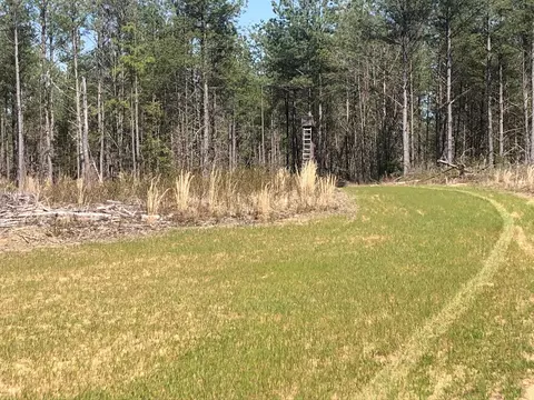 205 Rocky Mtn Crk, Gruetli Laager, TN 37339