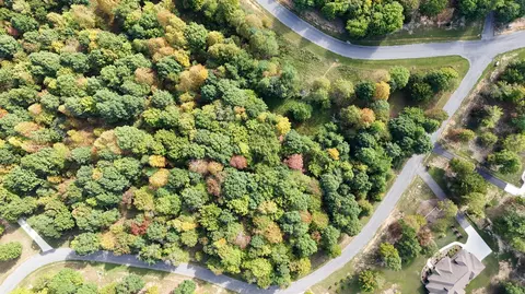 0 Roaring Creek Rd #297, Dunlap, TN 37327