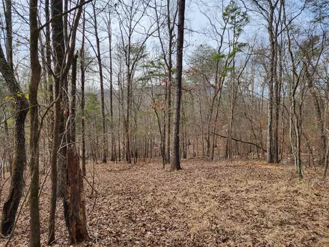 00 Antler Dr #LOT 11 PTL, Rising Fawn, GA 30738
