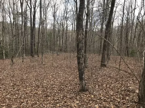 550 Wilderness Way #550, Dunlap, TN 37327