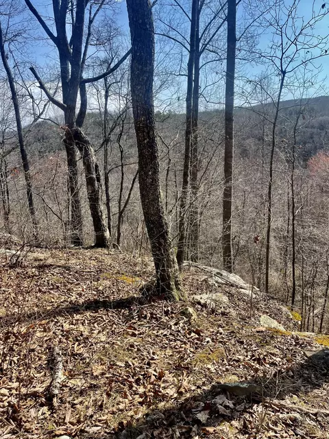 0 Little Indian Gulf Cir, Sequatchie, TN 37374