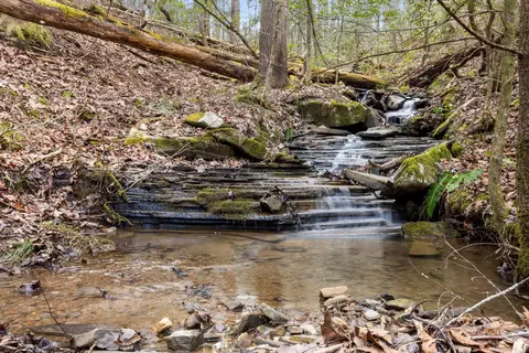 549 Wilderness Way #549, Dunlap, TN 37327