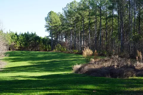 0 Danville Rd #1, Big Sandy, TN 38221