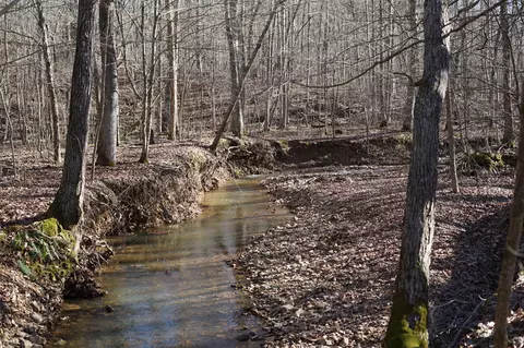 0 Danville Rd #4, Big Sandy, TN 38221