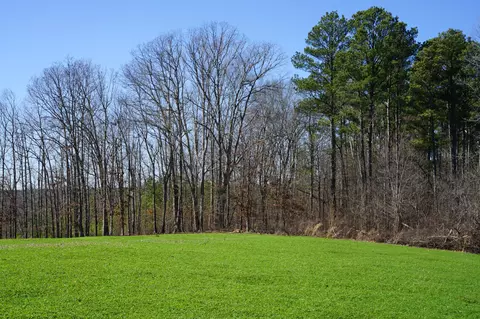 0 Pine Grove Rd #3, Big Sandy, TN 38221