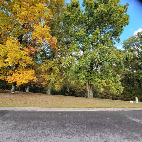 lot27 Skyhigh Dr, Dunlap, TN 37327