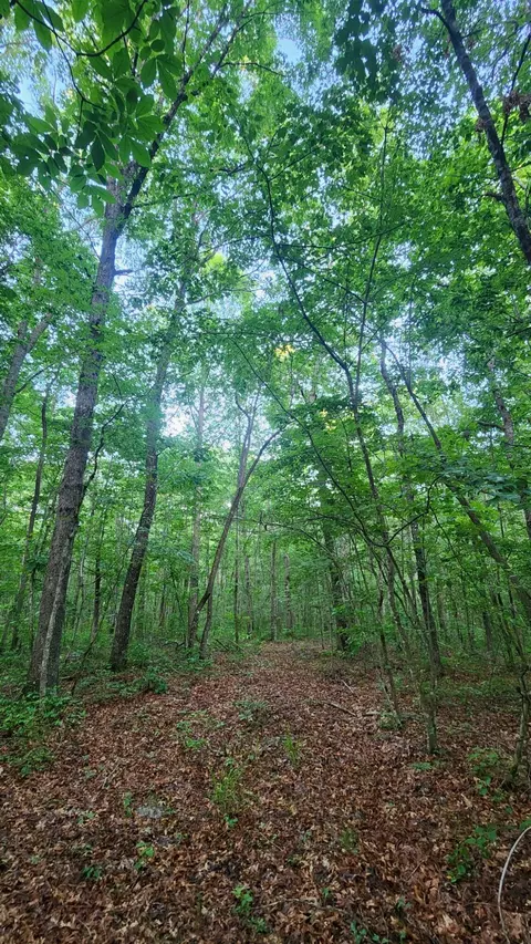 273 Quail Dr #5, Altamont, TN 37301