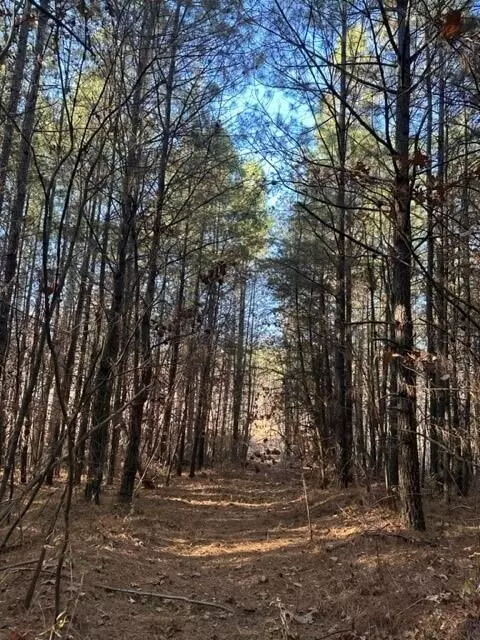 14 Fredonia Road, Dunlap, TN 37327