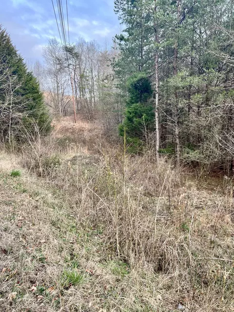1300 E Valley Rd, Jasper, TN 37347 photo 6