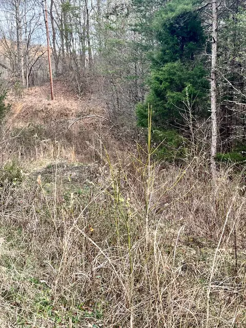 1300 E Valley Rd, Jasper, TN 37347 photo 5