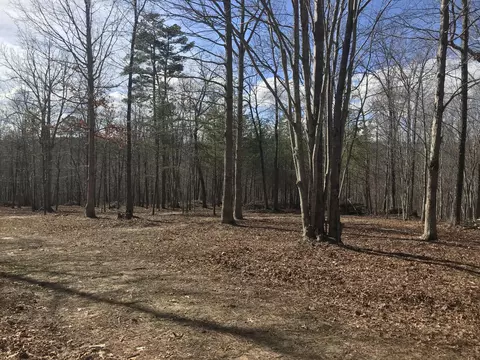 29 Cosmos Trl # -A, Dunlap, TN 37327