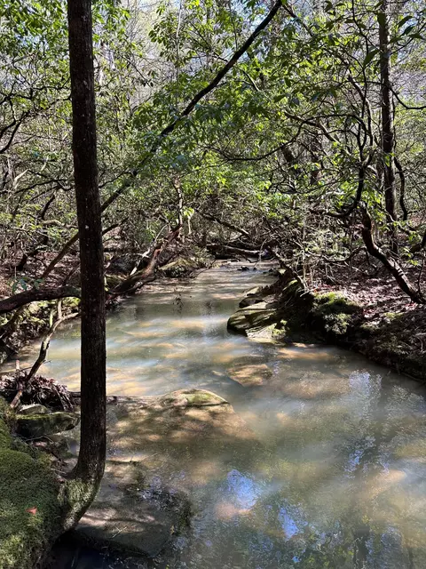 15 Thomas Springs Road #15, Crossville, TN 38572