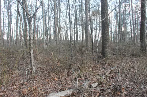 3 Three Forks Rd #13, South Pittsburg, TN 37380