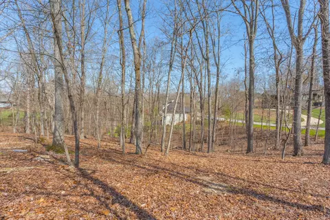 9989 Caseview Dr, Harrison, TN 37341 photo 3