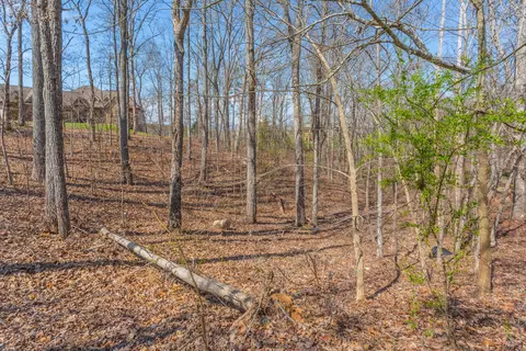 9989 Caseview Dr, Harrison, TN 37341 photo 56