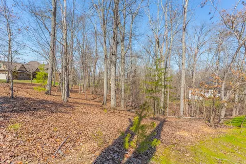 9989 Caseview Dr, Harrison, TN 37341 photo 54