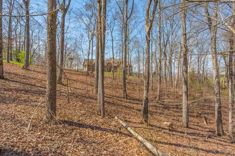 9989 Caseview Dr, Harrison, TN 37341 photo 55