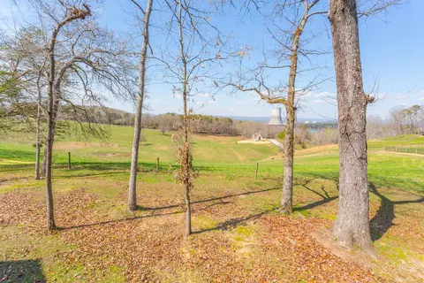 9989 Caseview Dr, Harrison, TN 37341 photo 12