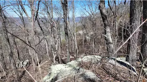 0 Bible Gulf Rd, Cloudland, GA 30731