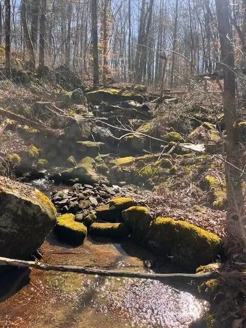 3 Hwy 150 # E, Sequatchie, TN 37374 photo 2