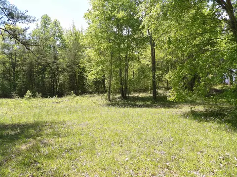 62 Manning Rd, Grandview, TN 37337
