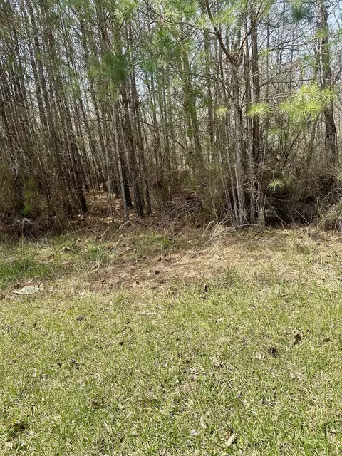 00 Harper Rd, Spencer, TN 38585