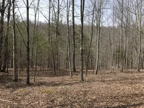 lot49 Big Falls Trl, Dunlap, TN 37327
