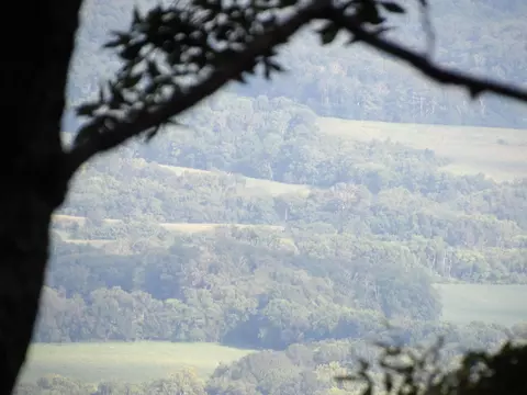 000 Big Springs Gap Rd, Pikeville, TN 37367