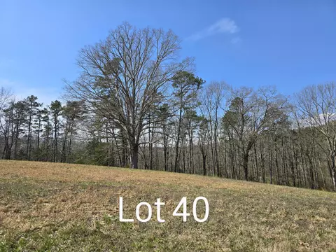 5303 Bear Creek Rd #40, Birchwood, TN 37308