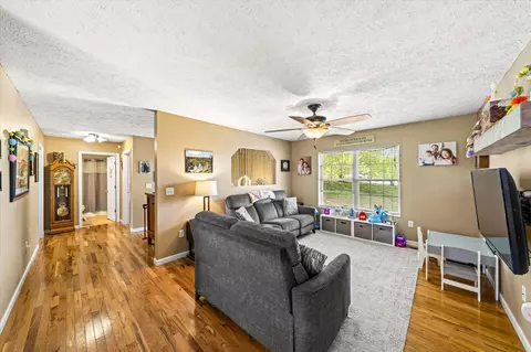 3020 Christopher Dr, White Pine, TN 37890 photo 5