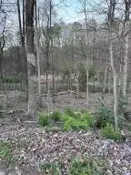 00 Bow St, Cleveland, TN 37312