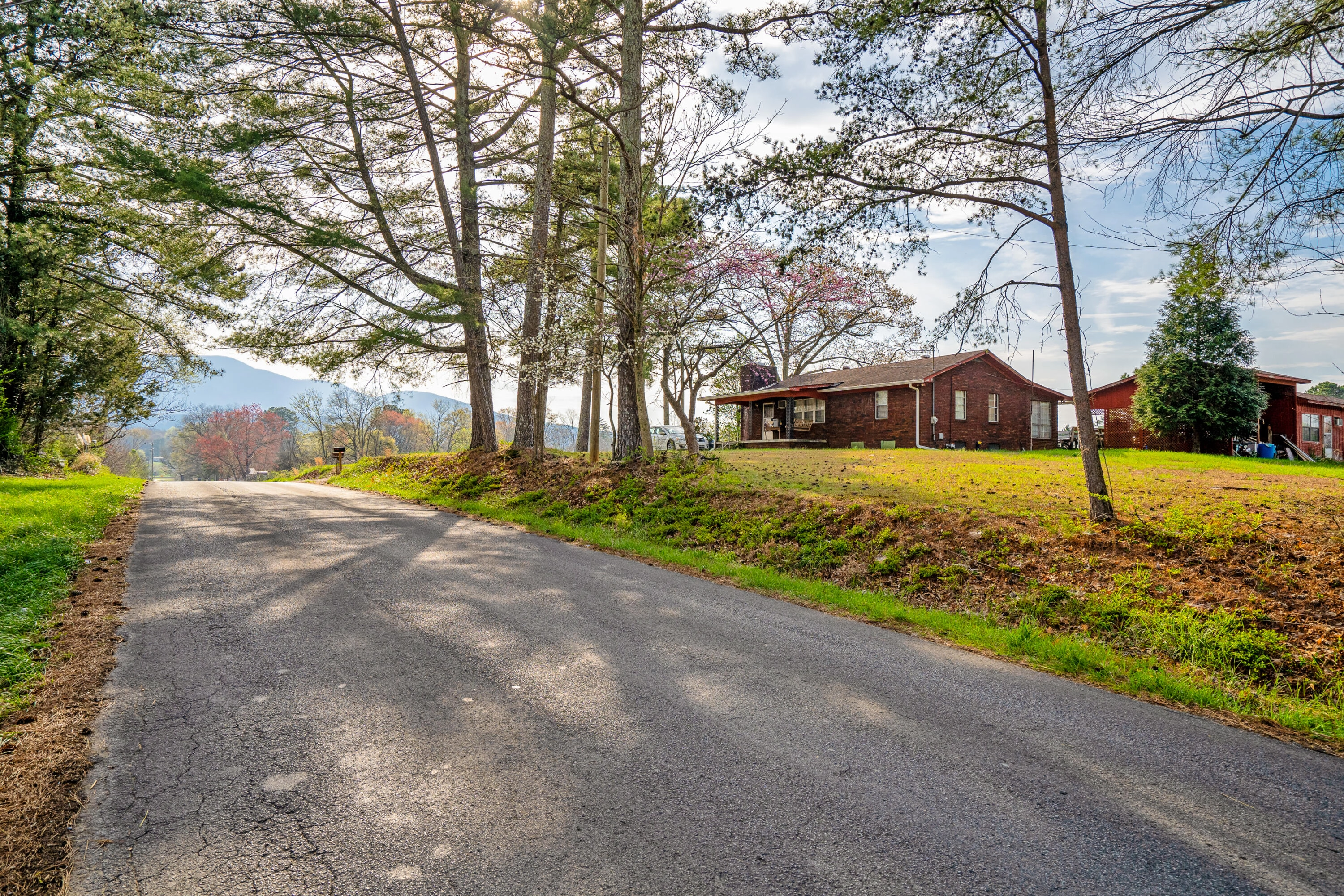 64 Grassy St  