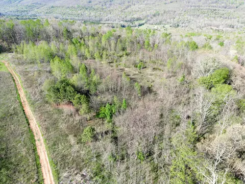 10 Acres County Road 792 #8-9, Flat Rock, AL 35966