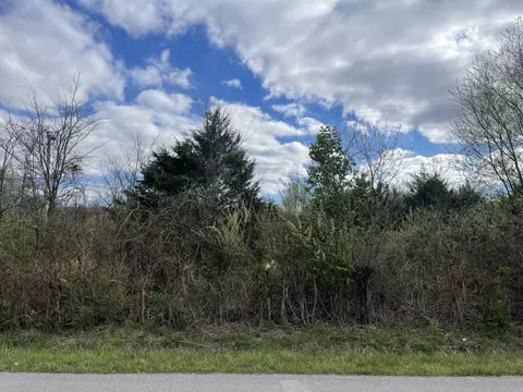 0 E Roarks Cove Rd, Decherd, TN 37324 photo 7