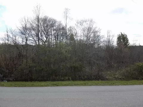 0 E Roarks Cove Rd, Decherd, TN 37324 photo 36