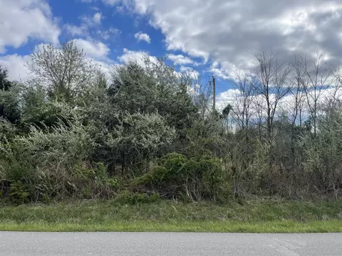 0 E Roarks Cove Rd, Decherd, TN 37324 photo 6