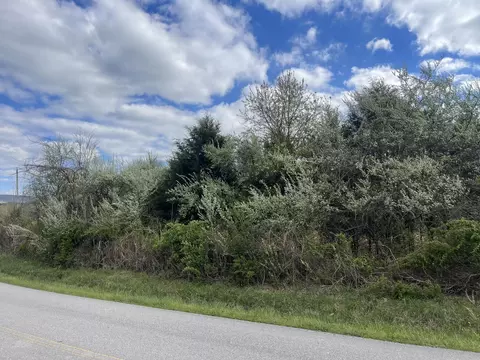0 E Roarks Cove Rd, Decherd, TN 37324 photo 5