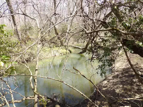 00 Pine Rd #19, Pikeville, TN 37367