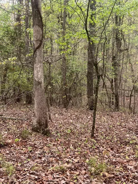 11734 Armstrong Rd, Soddy Daisy, TN 37379