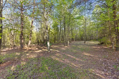 450 High Point Ln, Jasper, TN 37347 photo 48