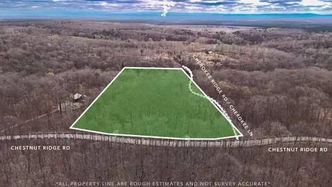 1139 Chestnut Ridge Rd, Spring City, TN 37381