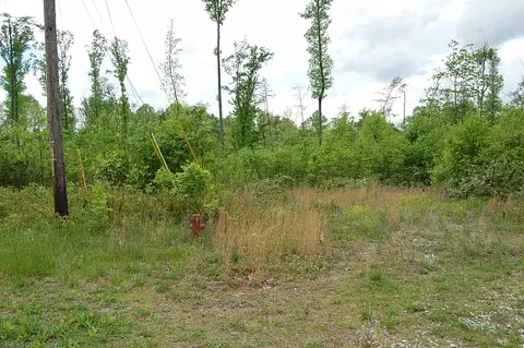 7005 Sr 8, Dunlap, TN 37327 photo 10